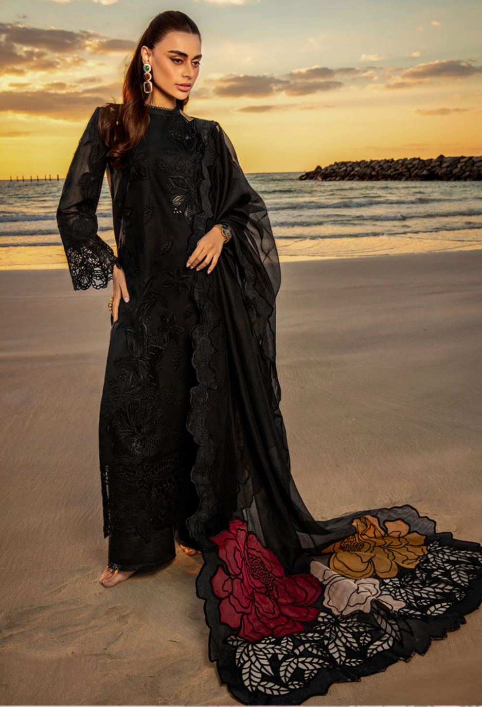 Rang Rasiya - Black Laser Embroidered Ayla's Atelier